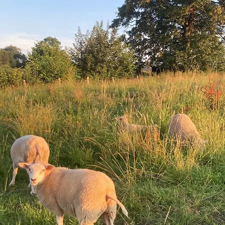 Villa Tiny House O Secret Du Werihay