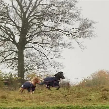Tiny House O Secret Du Werihay Spa