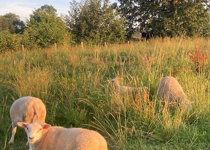 Villa Tiny House O Secret Du Werihay