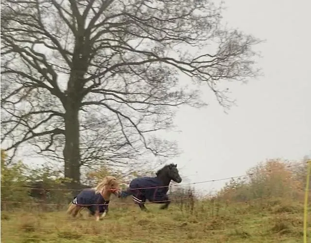 Tiny House O Secret Du Werihay Spa