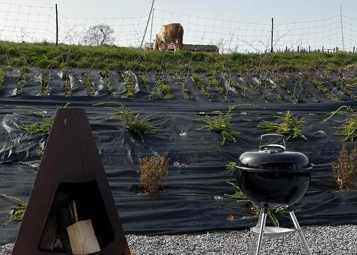 Villa Tiny House O Secret Du Werihay