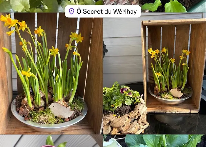 Tiny House O Secret Du Werihay Spa